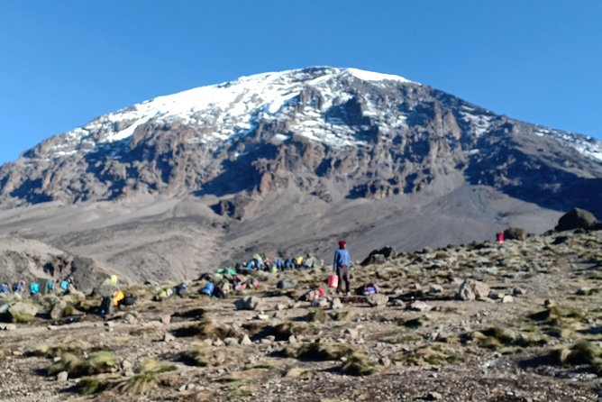Best Kilimanjaro Adventures 6 Days Marangu Route Experience - Day Two: Moorland Views on the Way to Horombo