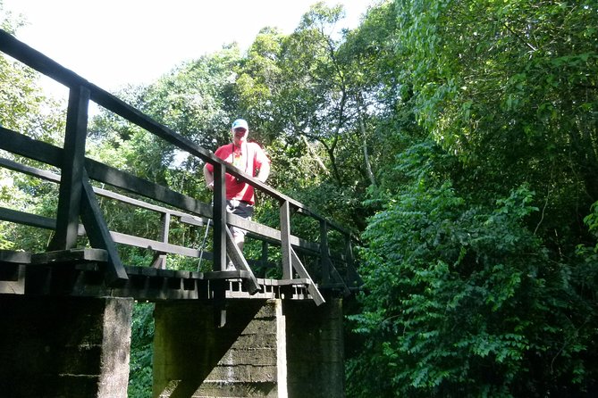 Best Kilimanjaro hiking day trip tour with Kilinge Adventures - Key points to know before you book