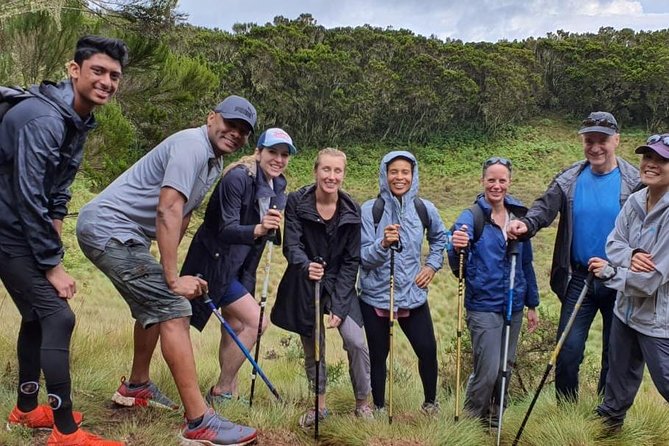 Best Kilimanjaro hiking day trip tour with Kilinge Adventures - The first climb through Kilimanjaro’s rainforest