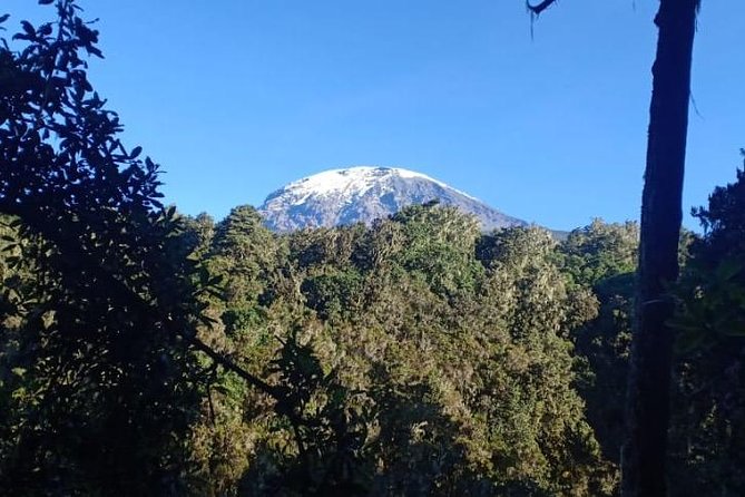 Best Kilimanjaro hiking day trip tour with Kilinge Adventures - Reaching Mandara Hut at 2,743 meters
