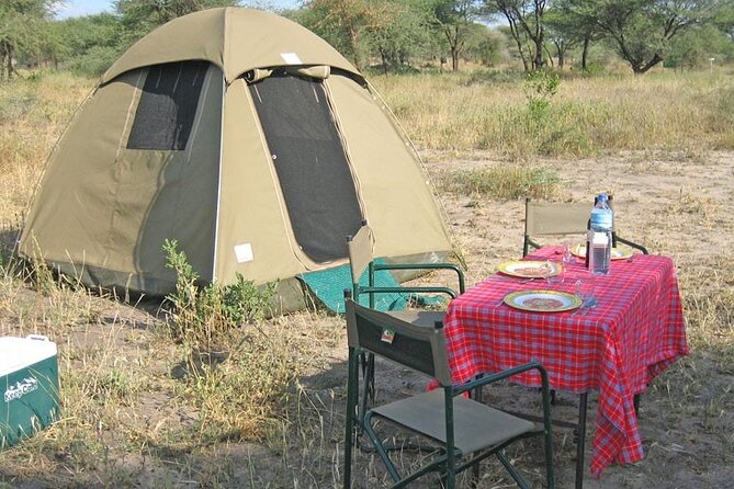 Best Of Six Days Safari Camping safari - Days 3 and 4: following the herds into Serengeti