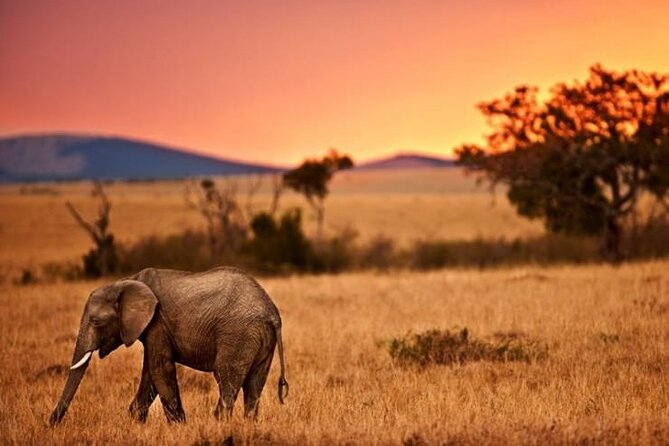 Best Of Six Days Safari Camping safari - What budget camping means in practical terms