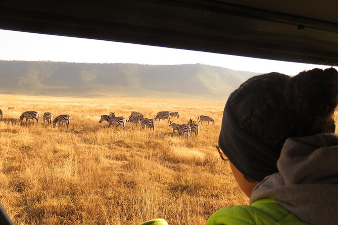 Best Of Six Days Safari Camping safari - Day 1 in Arusha: a useful soft landing