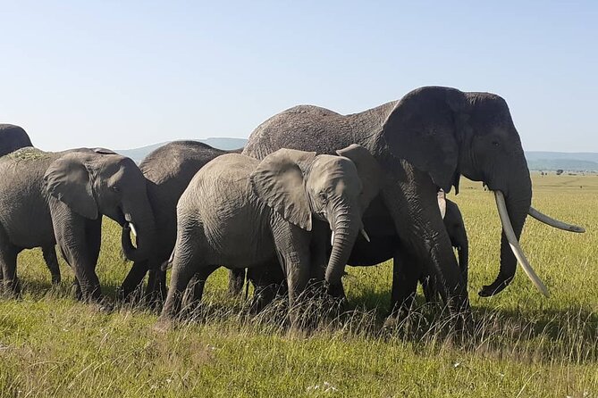 Best of Tanzania 5days 4nights safari - Day two: The long road to the Serengeti