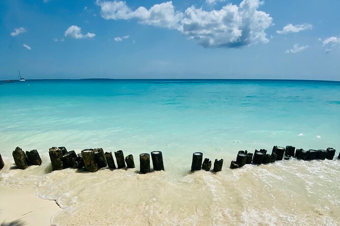Best Safari and Zanzibar 10-Days Excursions - Days 7 to 9: Zanzibar’s beaches and open schedule