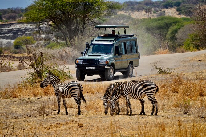 Best Safari and Zanzibar 10-Days Excursions - Day 10: A flexible goodbye