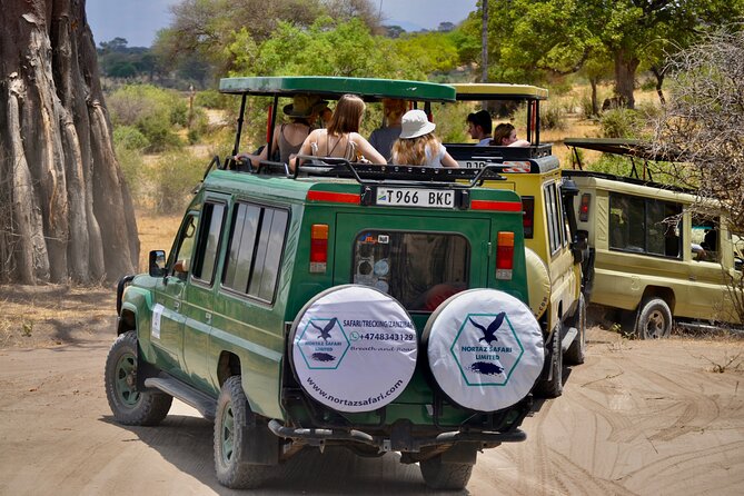Best Safari and Zanzibar 10-Days Excursions - Day 1: A simple welcome in Arusha