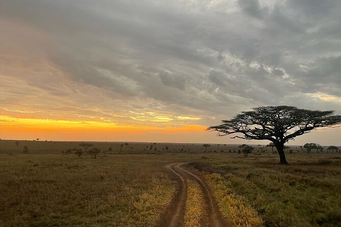 Big Five Dream Safari - Why the guide may make or break the trip