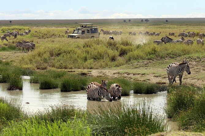 Big Five Luxury 7 Days Safari Tour in Arusha - Day 1: A simple arrival in Arusha
