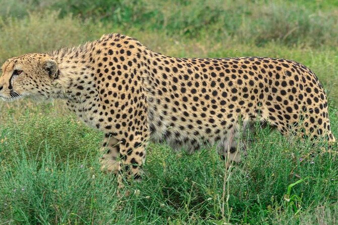 Big Five Luxury Safari in Tanzania - Day 3: The long road to the Serengeti
