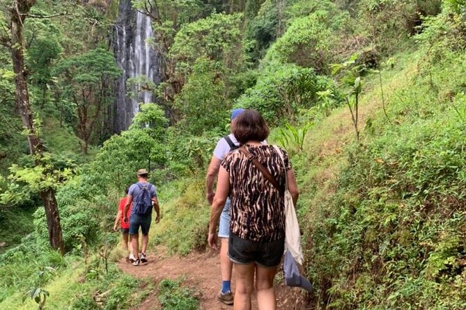Bodaboda Experience to Materuni Waterfall and Coffee Tour - Coffee from the local farms