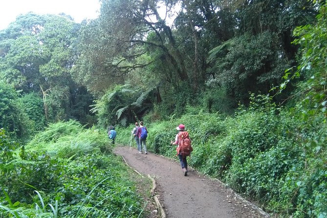 Book Day Hike at Rau Forest Reserve, Near Moshi Town in Tanzania - Five things to know before you book