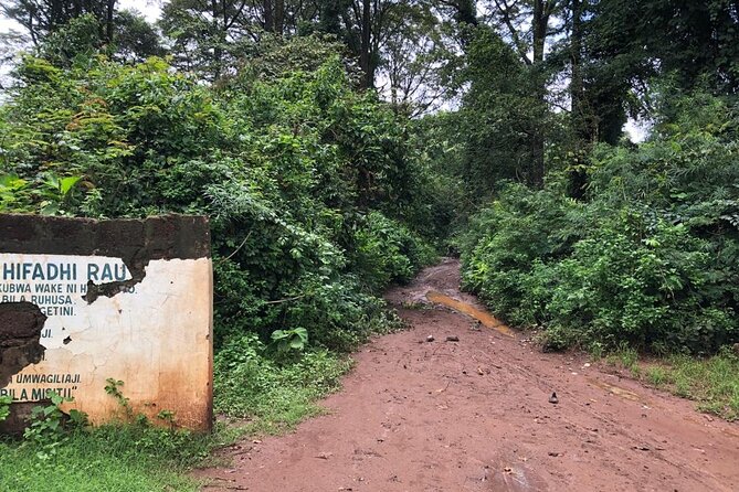 Book Day Hike at Rau Forest Reserve, Near Moshi Town in Tanzania - Starting on Ghala Road near Moshi