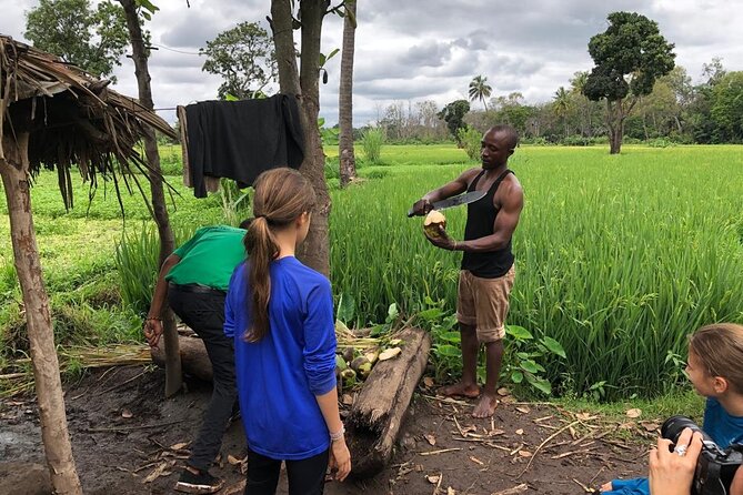 Book Day Hike at Rau Forest Reserve, Near Moshi Town in Tanzania - Walking through a forest fed by underground water