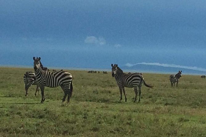 Camping to Serengeti & Ngorongoro Premium Parks - Camping comfort, food, and the daily pace