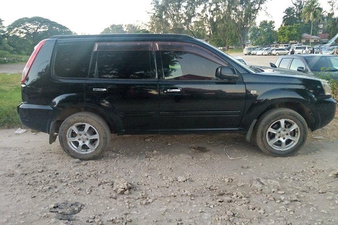Car Rental in Zanzibar (family Car 7 Pax) - A practical vehicle for a family of seven