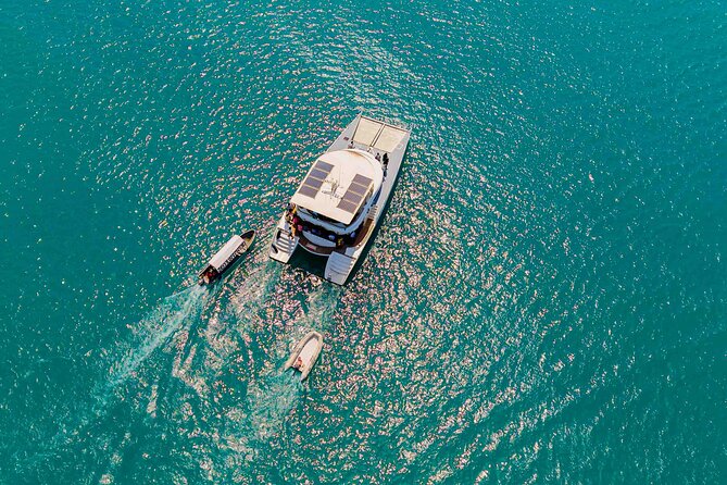 Catamaran Sunset Cruise in Stone Town - Is $100 a good value?