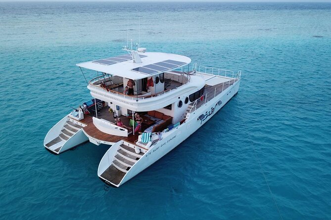Catamaran Sunset Cruise in Stone Town - Who will enjoy this cruise most?