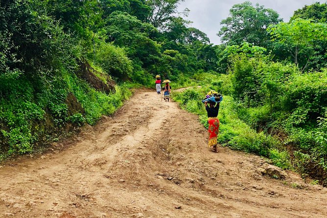 Chagga Villages in Mount Kilimanjaro Cycling Day Trip - The climb from Shanty Town toward Kibosho