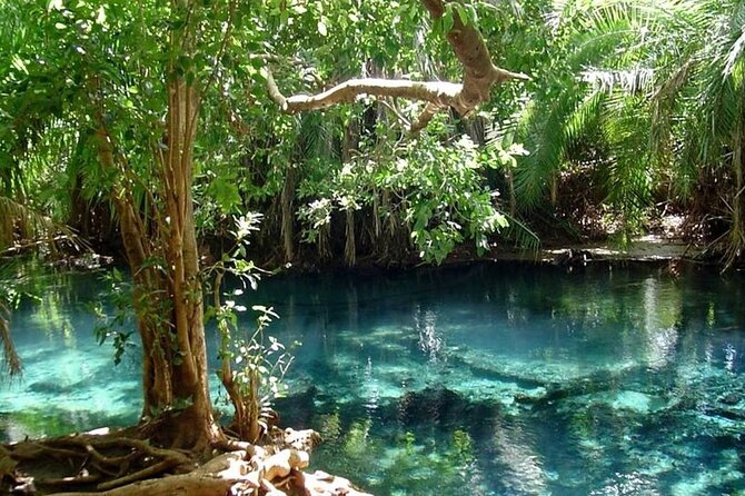 Chemka Hot Springs Day Trip - The guide can shape the day