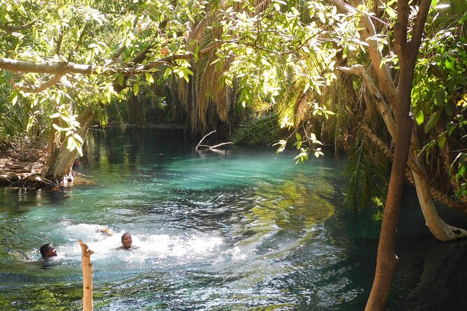 Chemka (Kikuletwa) Hot Springs, Tanzania - Key points to know before you book