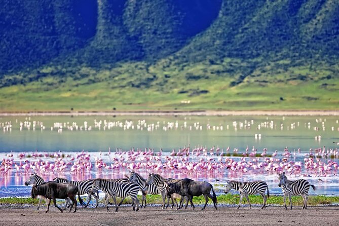 Classic 4-Day Tanzania Safari: Tarangire, Serengeti & Ngorongoro - Food, lodging, and what the $1,650 price means