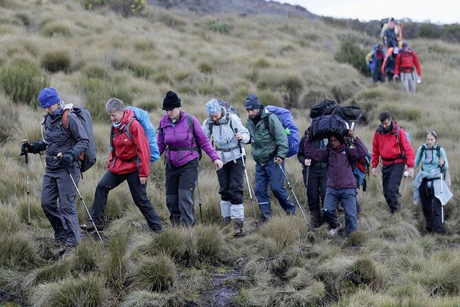 Climb Kilimanjaro, 7 Days Machame Route Hiking - Days 2 through 7: A gradual climb with limited published detail