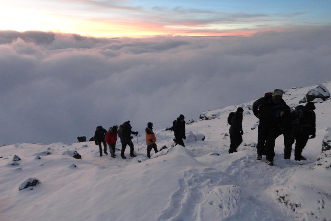 Climb Kilimanjaro 8-Day Lemosho Route with Stunning Scenic Views - Day 5: Climbing the Barranco Wall to Karanga