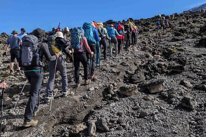 Climb Kilimanjaro in 8 Days via Lemosho Route - Day 4: Lava Tower, Barranco Wall, and a seven-hour crossing