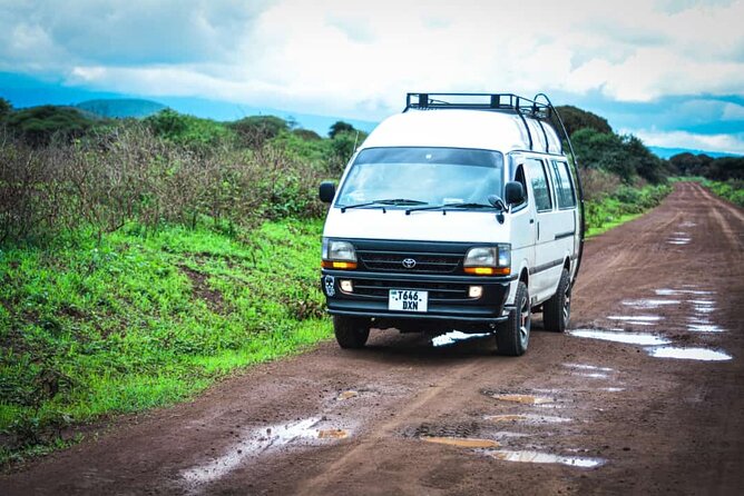Climb Kilimanjaro in 8 Days via Lemosho Route - Day 5: Climbing Barranco Wall to Karanga Camp