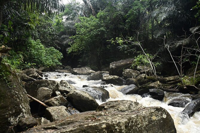 Climb Kilimanjaro - Lemosho Route 7 Day Climb - Arrival in Moshi and the practical first night
