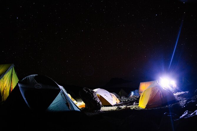 Climb Kilimanjaro - Lemosho Route 7 Day Climb - Day three: from Mti Mkubwa into the moorland