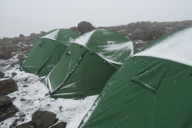 Climb Kilimanjaro - Lemosho Route 7 Day Climb - Day four: a short gain at Shira Camp 2