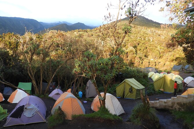 Climb Kilimanjaro - Lemosho Route 7 Day Climb - Day six: a tense camp before the summit