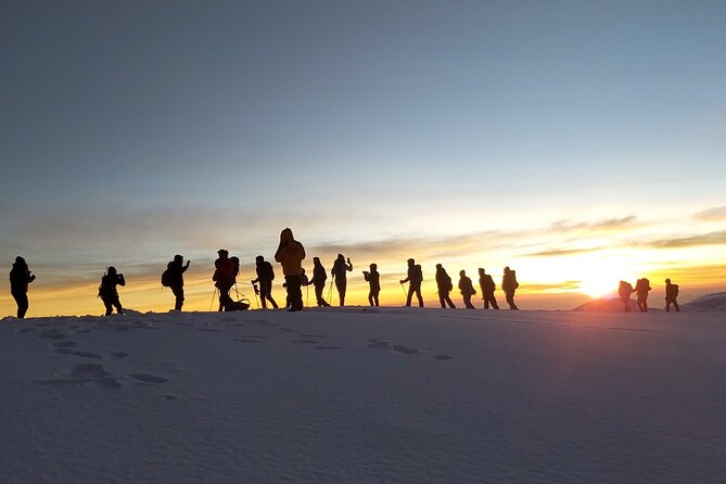 Climb Kilimanjaro - Lemosho Route 7 Day Climb - Day two: five hours to the Londorosi Gate
