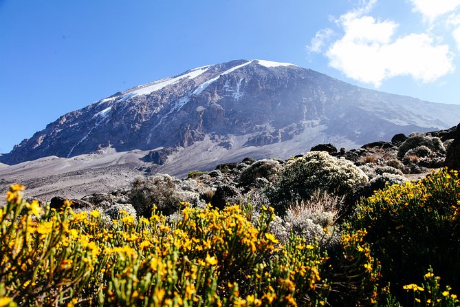 Climb Kilimanjaro - Marangu Route 8 Day Program - Day 2: Marangu Gate to Mandara Hut through rainforest