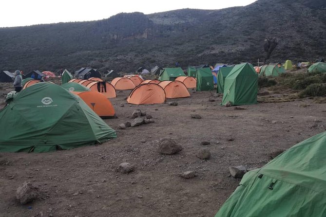 Climbing Kilimanjaro - Machame Route - Day four: Barranco, Karanga, and exposed Barafu