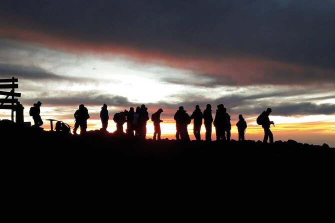 Climbing Kilimanjaro - Machame Route - Summit night: Stella Point and Uhuru Peak