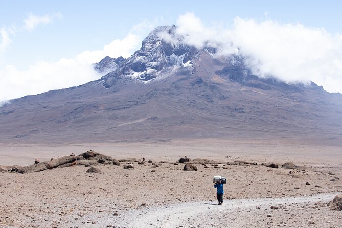 Climbing Kilimanjaro - Marangu Route - Mandara Huts to Horombo Huts