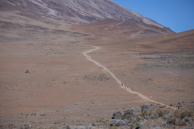 Climbing Kilimanjaro - Marangu Route - Returning through moorland and rainforest