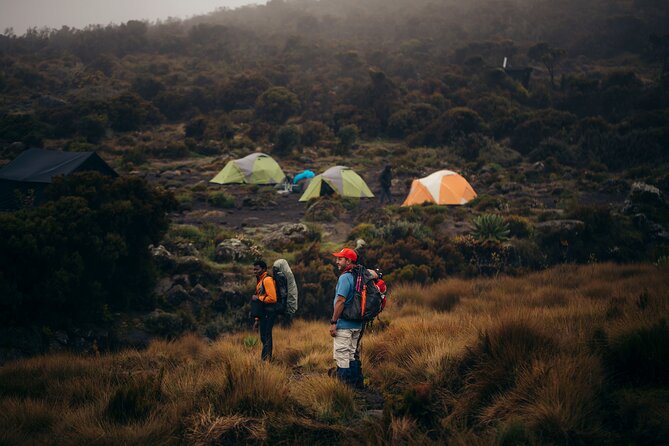 Climbing Kilimanjaro through 7 days Machame Route - Why Machame earns the Whiskey Route nickname
