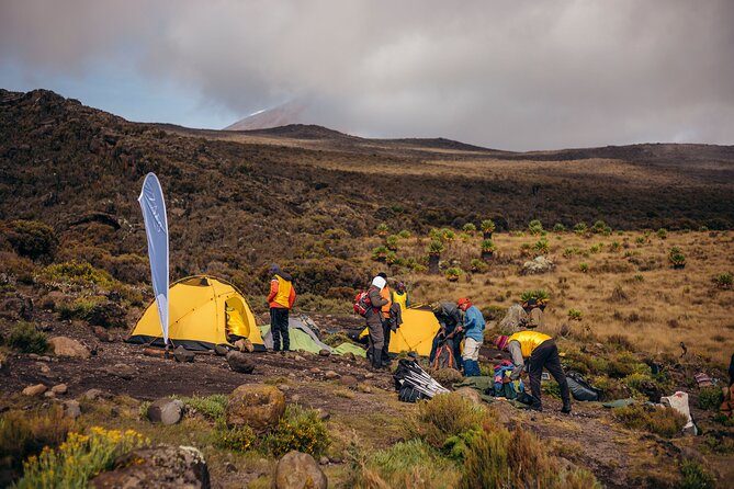 Climbing Kilimanjaro through 7 days Machame Route - Day 6: The summit attempt and descent by Mweka
