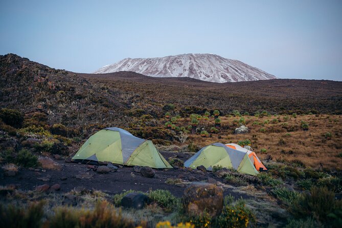 Climbing Kilimanjaro through 7 days Machame Route - Day 2: Reaching Shira Camp and meeting the wider route