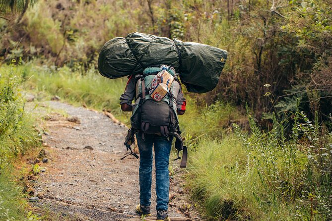 Climbing Kilimanjaro through 8 days Lemosho Route - Day 7: The summit push toward Uhuru Peak