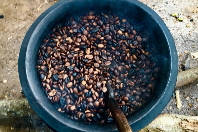 Coffee tour and Buffet Lunch with Kingstone Asilia (Arusha) - Coffee begins with the plant