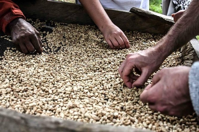 Coffee walk day trip - The 30 to 40 minute walk to the roaster