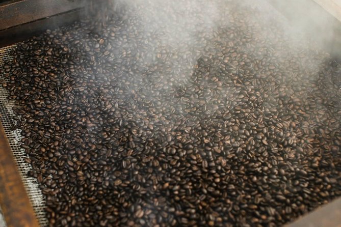 Coffee walk with stay in the village - Returning to Arusha after a quiet breakfast