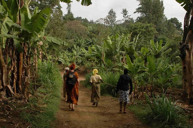 Coffee walk with stay in the village - Is $270 per person a fair price?