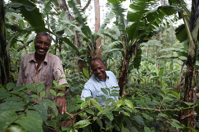 Coffee walk with stay in the village - Arriving from Arusha at 5 p.m.