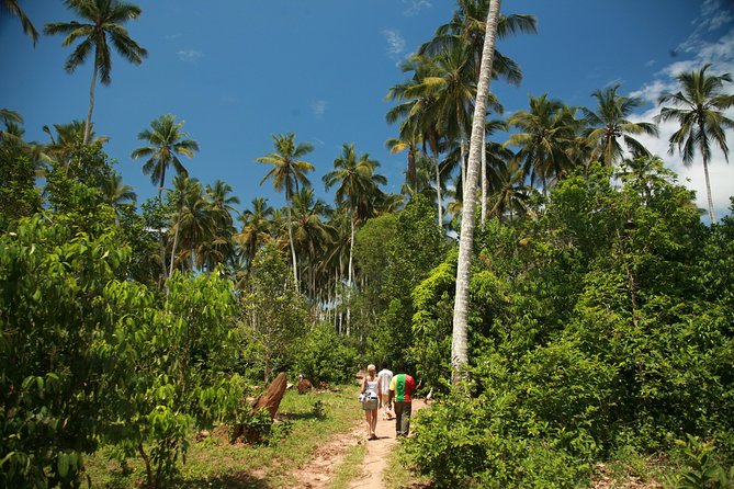 Come and taste the Zanzibar feelings - Why Zanzibar’s spices deserve a closer look
